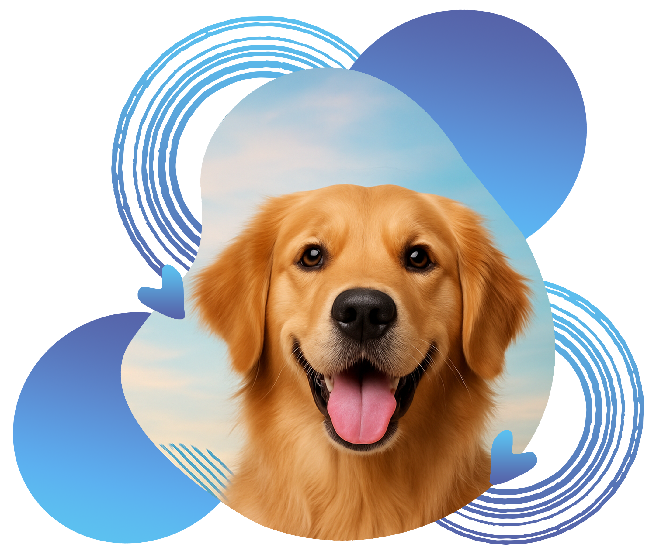 mascotas2
